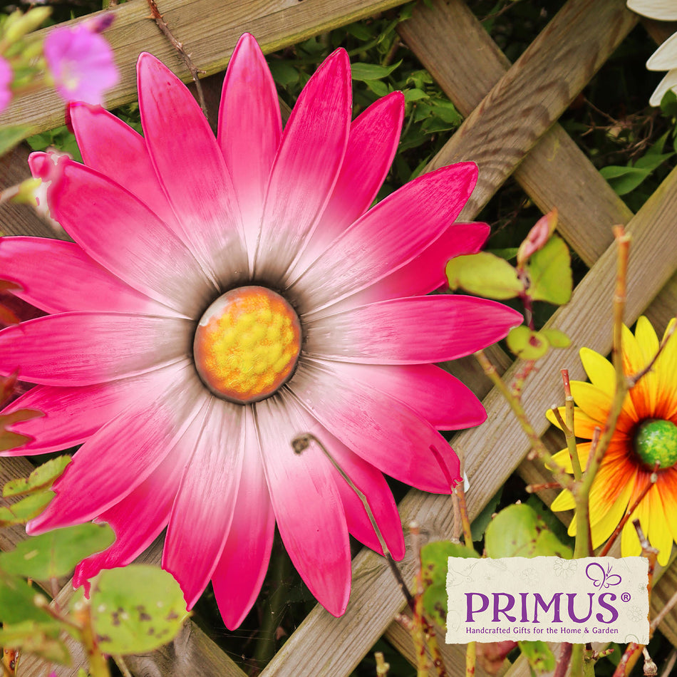 Large Metal Wall Mounted Daisy Pink